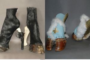 10 High heels dari kaki binatang ini nyeleneh banget, berani pakai?