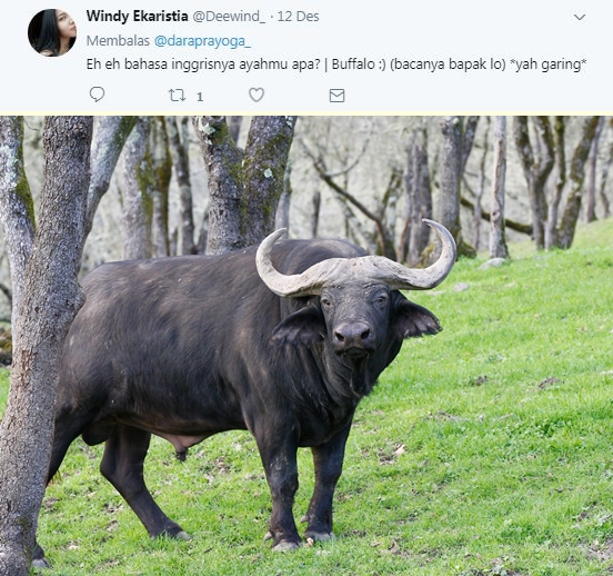 10 Joke receh warganet pakai Bahasa Inggris ini bikin ngakak