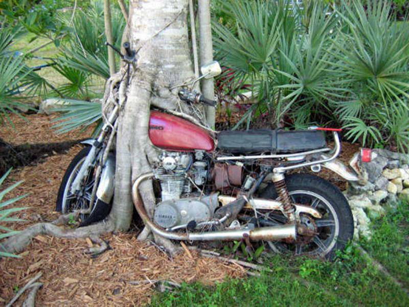12 Foto sepeda motor tak terawat ini bikin senyum sambil ngelus dada