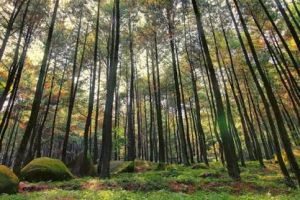 10 Destinasi wisata di Indonesia yang paling banyak dikunjungi di 2017