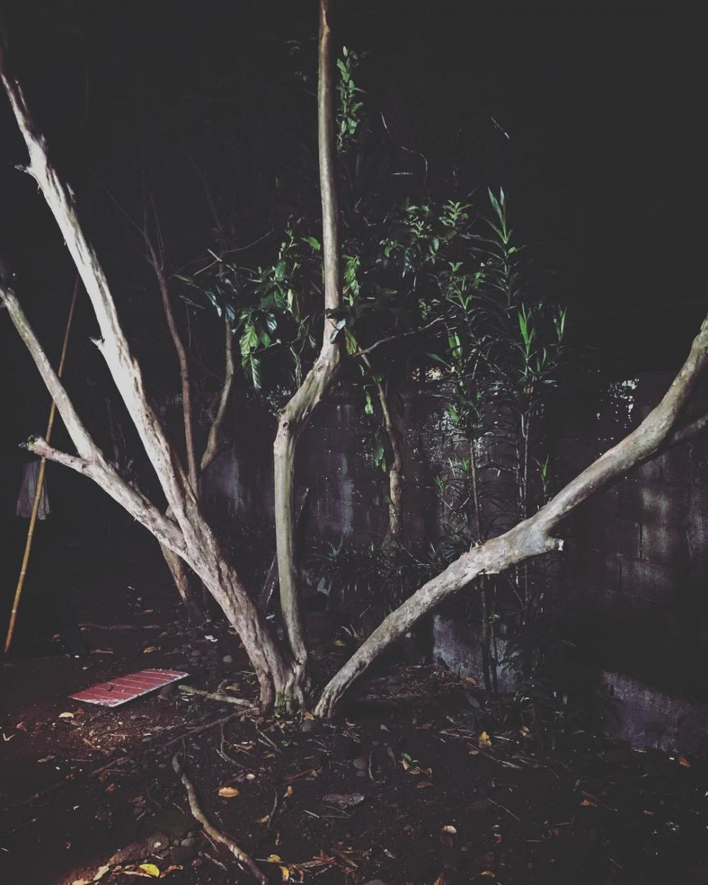 10 Postingan Sara Wijayanto tentang bangunan tua, bikin merinding