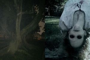 8 Postingan serem Sara Wijayanto, bikin penasaran pengen lihat hantu