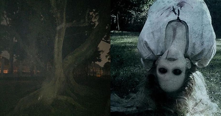 8 Postingan serem Sara Wijayanto, bikin penasaran pengen lihat hantu