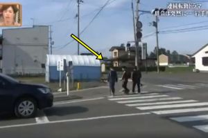 Wajib dicontoh, cara orang Jepang nyeberang jalan ini bikin salut