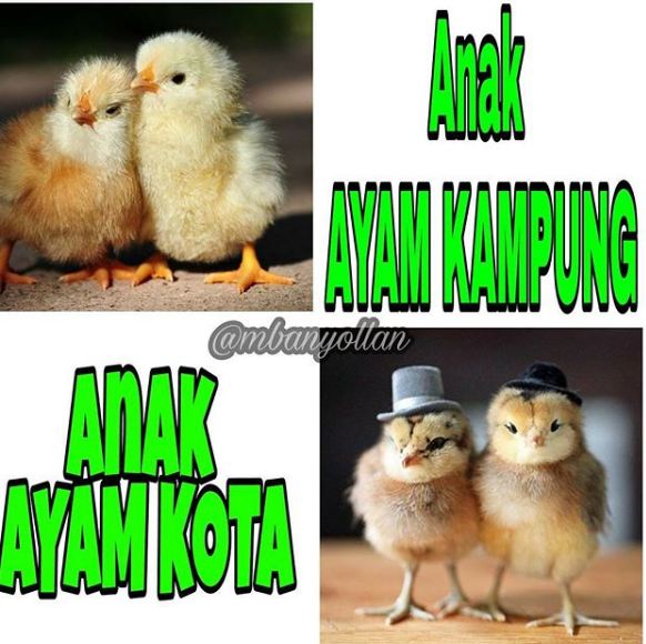 10 Meme 'definisi nggak jelas' ini kocaknya bikin bilang 'terserah lo'