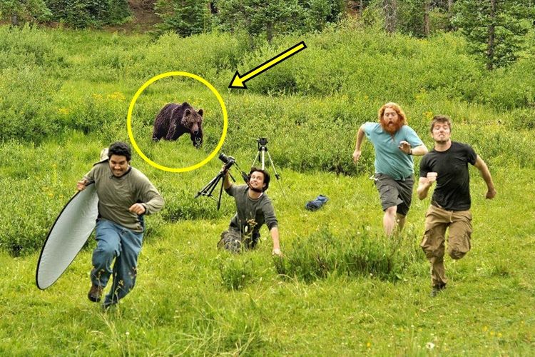 15 Karya editan Photoshop paling gokil sepanjang 2017