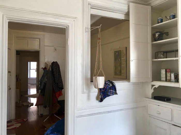 Kucing ini dijuluki 'ninja cat', coba temukan sosoknya di 10 foto ini