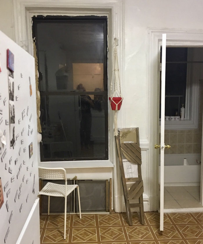 Kucing ini dijuluki 'ninja cat', coba temukan sosoknya di 10 foto ini