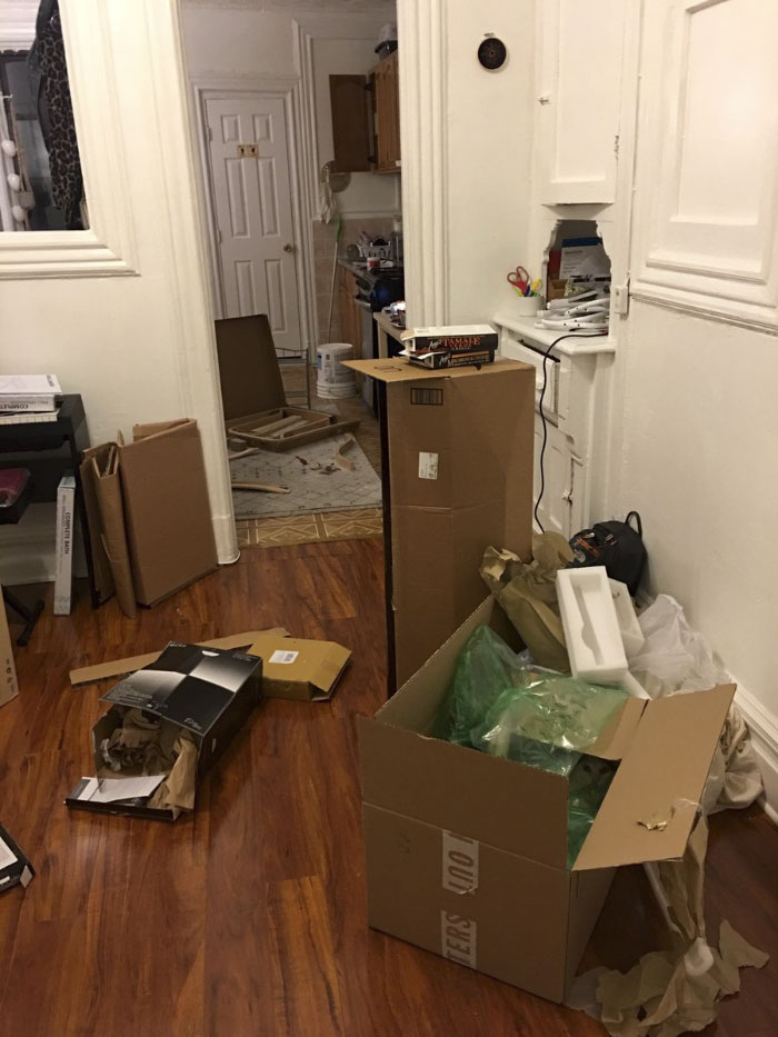 Kucing ini dijuluki 'ninja cat', coba temukan sosoknya di 10 foto ini