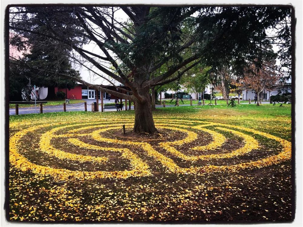 10 Foto karya seni dari guguran daun ini kreatif abis, bikin takjub