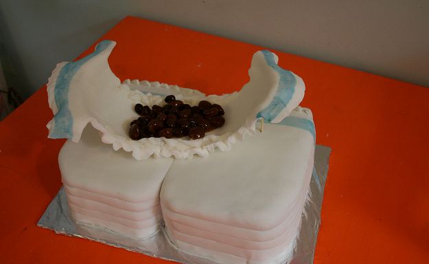 10 Kue unik berbentuk popok tapi penuh kotoran, iyuh banget nggak sih?