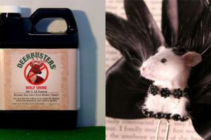 8 Benda absurd yang tak disangka dijual di olshop, ada pipis serigala