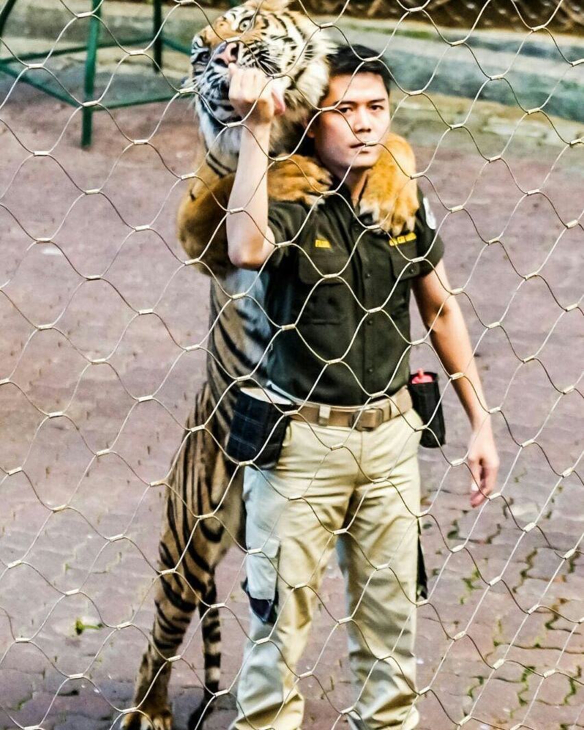 5 Wahana favorit pengunjung Taman Safari Indonesia saat musim libur