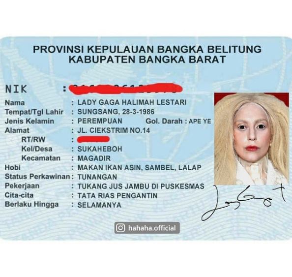 Parodi editan E-KTP 8 seleb dunia ini kocaknya Indonesia banget 