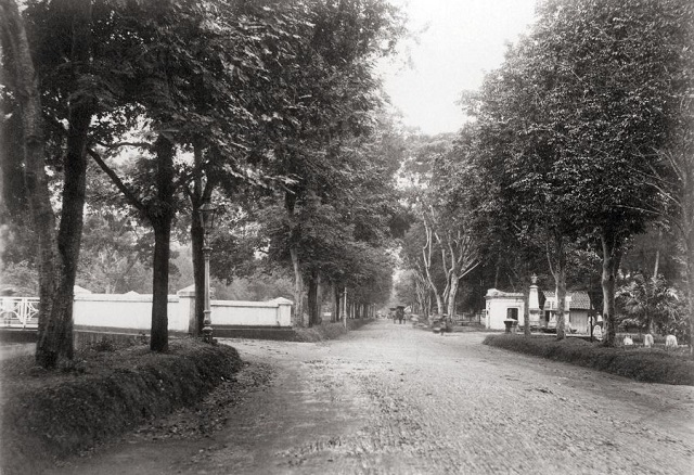 5 Fakta Pasar Tanah Abang, pungli bisa sampai Rp 6,8 miliar per tahun