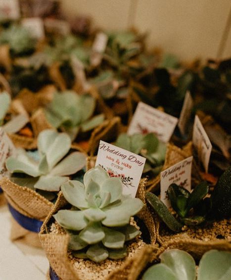 6 Fakta menarik di balik pernikahan Rifky Balweel dan Biby Alraen