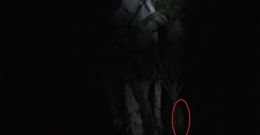 Kisah komunitas foto yang tangkap penampakan di hutan Puncak Tretes