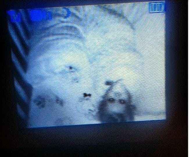 Tak selalu gemas, 10 foto bayi ini malah bikin kamu nggak bisa tidur