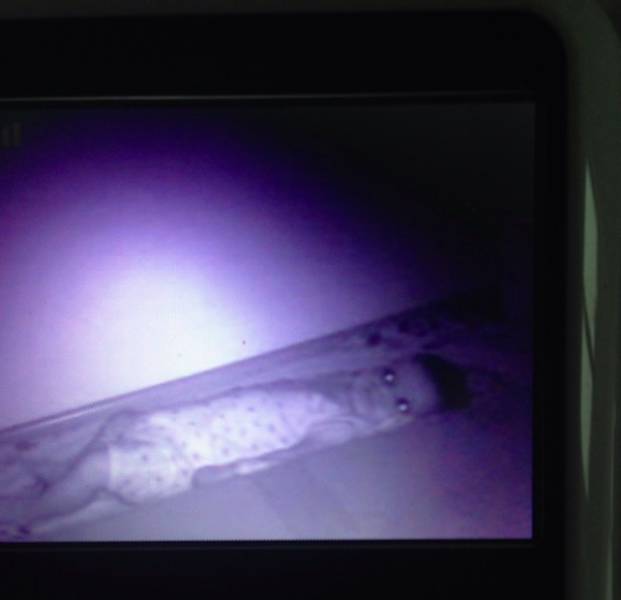 Tak selalu gemas, 10 foto bayi ini malah bikin kamu nggak bisa tidur