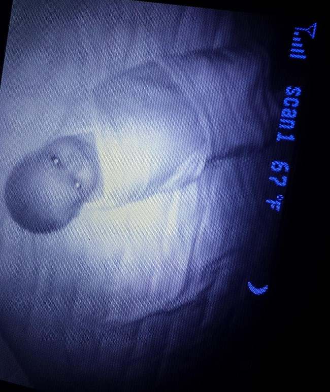 Tak selalu gemas, 10 foto bayi ini malah bikin kamu nggak bisa tidur
