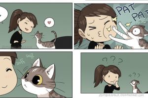 6 Ilustrasi kondisi yang sering dialami cewek ketika pelihara kucing