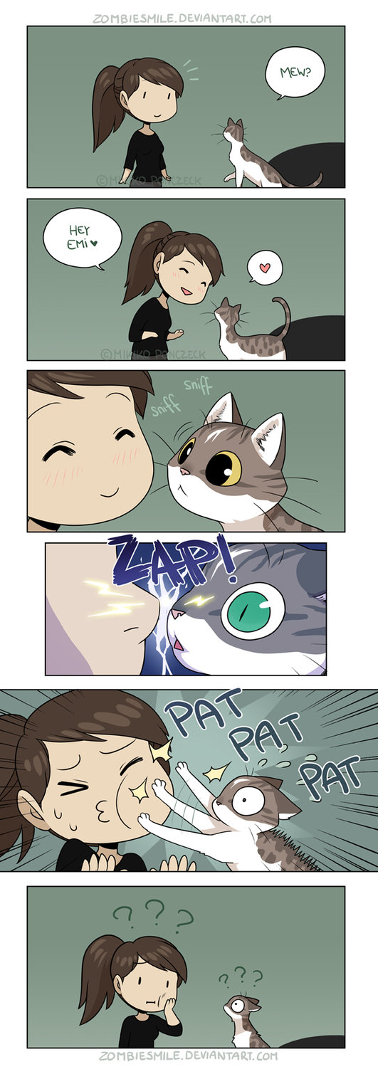 6 Ilustrasi kondisi yang sering dialami cewek ketika pelihara kucing