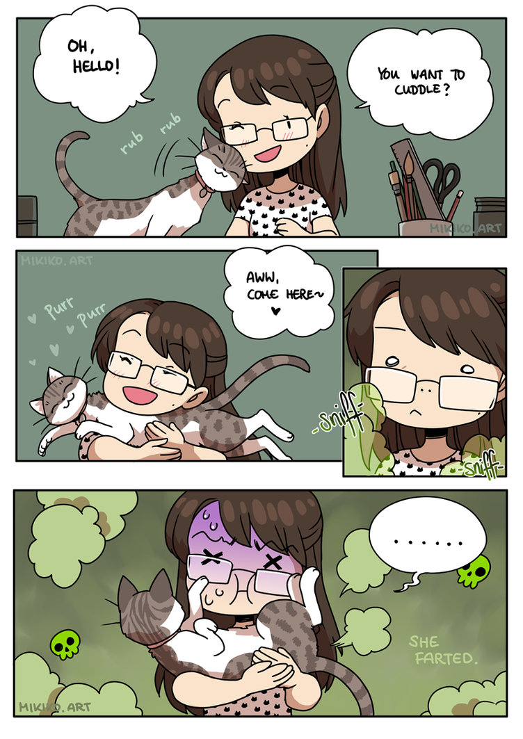 6 Ilustrasi kondisi yang sering dialami cewek ketika pelihara kucing