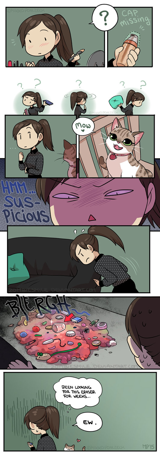 6 Ilustrasi kondisi yang sering dialami cewek ketika pelihara kucing