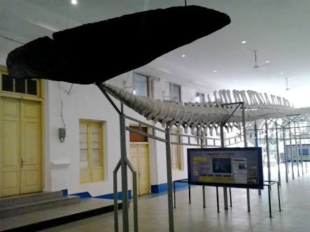 5 Lokasi favorit wisatawan di Kebun Raya Bogor, cocok buat akhir pekan