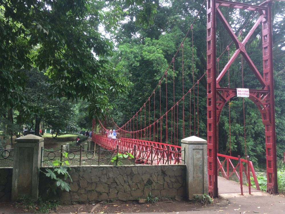 5 Lokasi favorit wisatawan di Kebun Raya Bogor, cocok buat akhir pekan