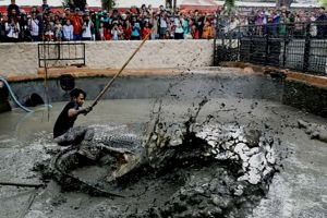 Detik-detik Panji Petualang hampir diterkam buaya, bikin histeris