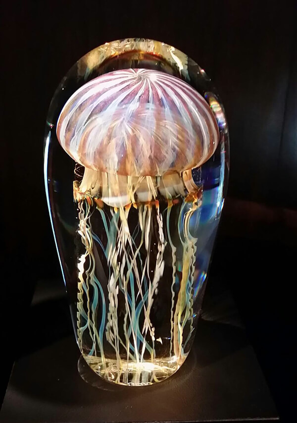 10 Ubur-ubur dalam kaca ini cantik memesona, realitanya tak disangka