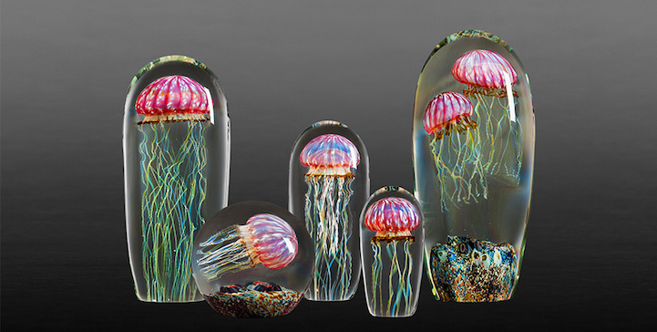 10 Ubur-ubur dalam kaca ini cantik memesona, realitanya tak disangka