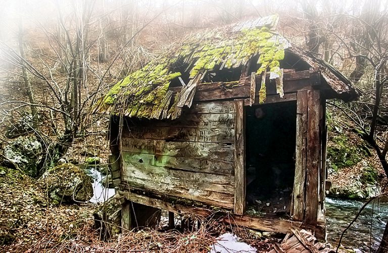 5 Kisah vampir ini dipercaya terjadi di dunia nyata, bikin merinding