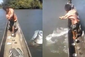 Aksi bocah mancing ini bikin ngilu sekaligus kagum, orang dewasa kalah