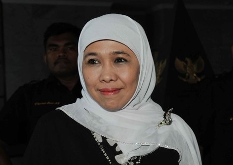 Bukan politisi, 3 mantan menteri Jokowi ini maju di pilgub