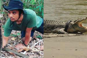 Viral buaya liar berkalung ban, Panji Petualang akan melepaskannya
