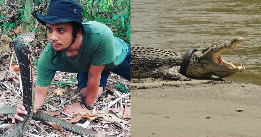 Viral buaya liar berkalung ban, Panji Petualang akan melepaskannya