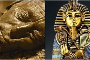 10 Mumi paling ngeri dan misterius di dunia, kisahnya bikin merinding