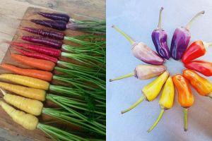 10 Foto gradasi buah dan sayuran ini bikin puas melihatnya 