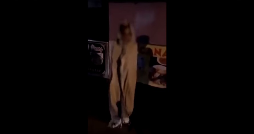 Orang menyamar jadi pocong ini tertangkap dan dapat balasan setimpal