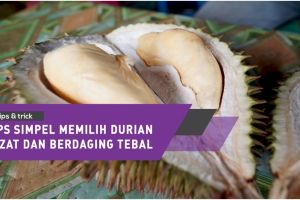Tips simpel memilih durian lezat dan berdaging tebal