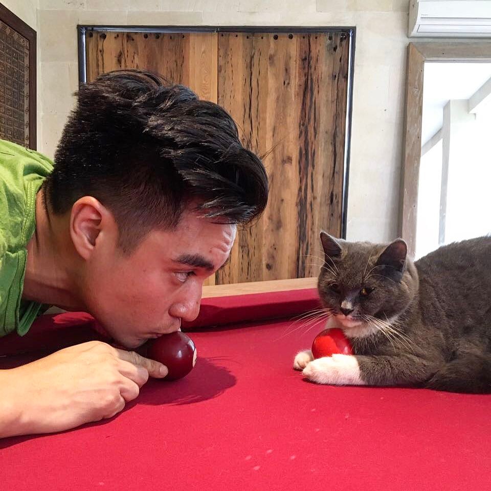 10 Seleb tampan ini hobi pelihara kucing, ada yang seharga motor sport