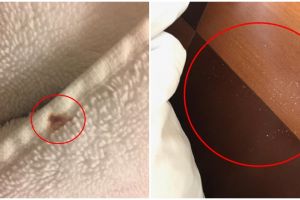 10 Momen jorok saat traveling ini bikin ilfil, mengganggu liburan deh 