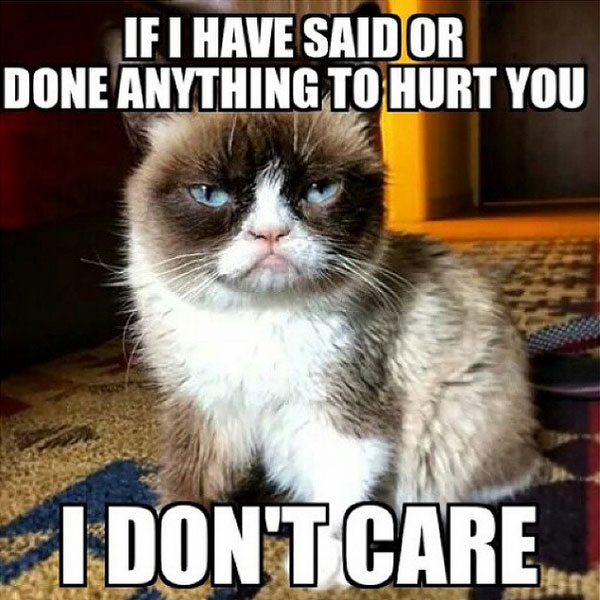 10 Meme Grumpy Cat ini bikin kamu tersenyum sambil geleng-geleng