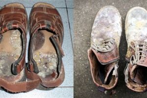 10 Potret kondisi menjijikkan jika kamu malas membersihkan sepatumu
