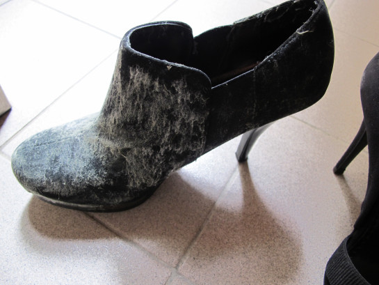 10 Potret kondisi menjijikkan jika kamu malas membersihkan sepatumu