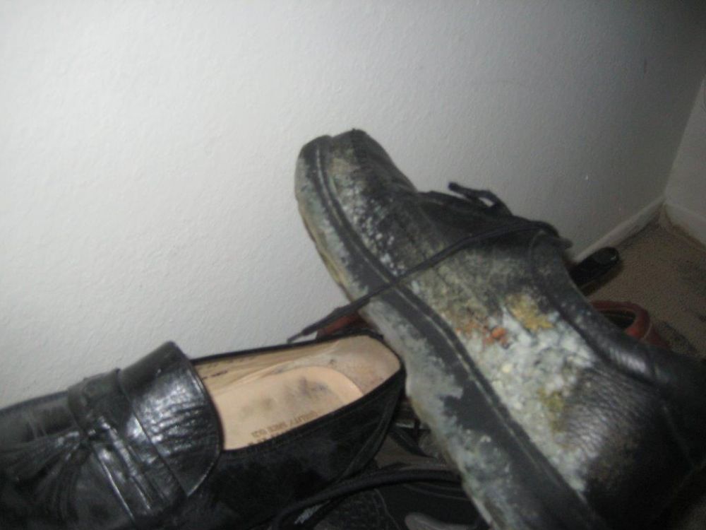 10 Potret kondisi menjijikkan jika kamu malas membersihkan sepatumu