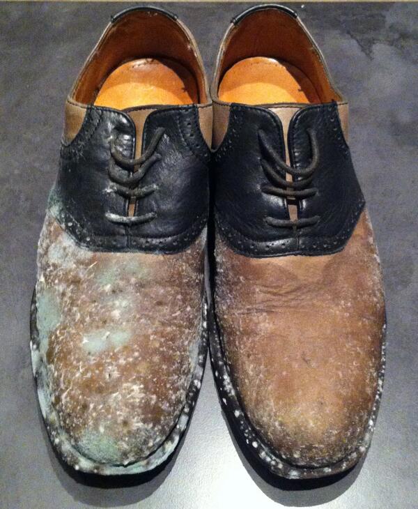 10 Potret kondisi menjijikkan jika kamu malas membersihkan sepatumu