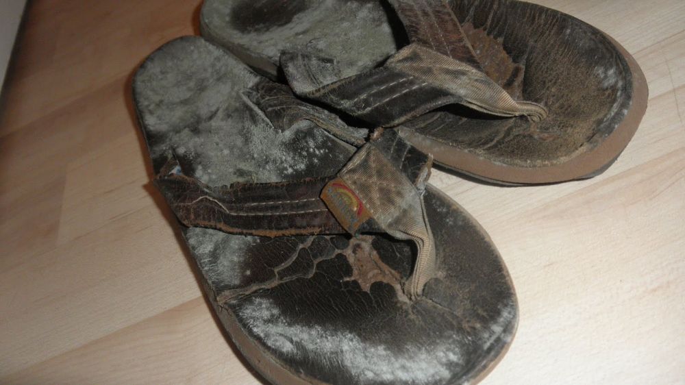 10 Potret kondisi menjijikkan jika kamu malas membersihkan sepatumu